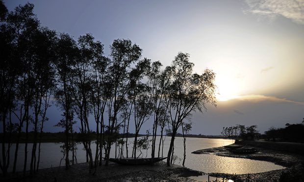 UN tells Bangladesh to halt mangrove-threatening coal plant