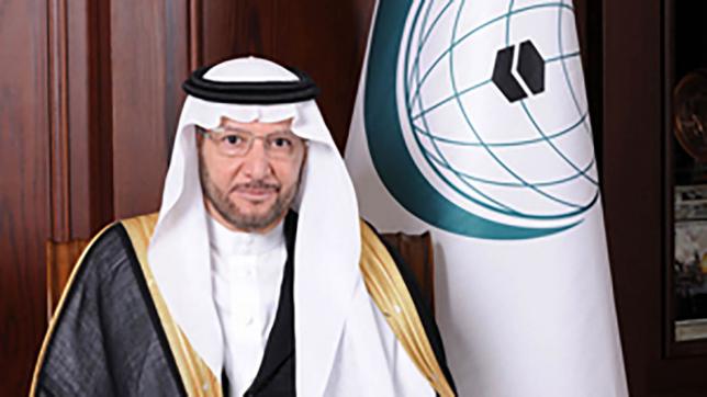 We are committed to continue support for rohingya : oic secy gen